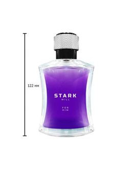 Dilis STARK WILL Туалетная вода для мужчин 100 мл  фото 2