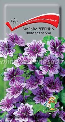 Мальва зебрина Лиловая зебра (ЦВ) ("1) 0,2гр.