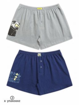 BUB4222(2шт. в упаковке) трусы для мальчиков