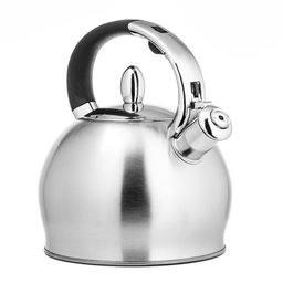 Чайник LARA (матовый) 3,1л, индукционное дно 0.5мм, хромированная оцинкованная ручка (LR00-10)  фото 2