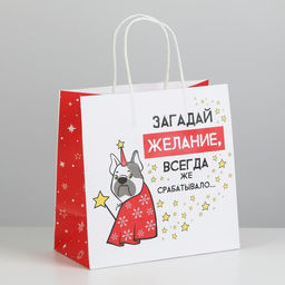 Пакет подарочный новогодний «Загадай желание», 22 х 22 х 11 см