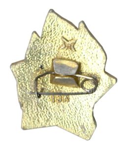 Значок Всегда Готов!