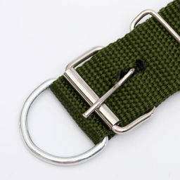 Ошейник клепаный, 48,5 х 3 см, ОШ 31-40 см, полиэстер, тёмно-зелёный - Пижон фото 4