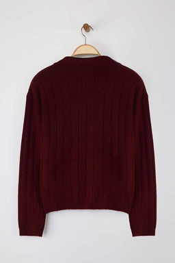 Wardrobe Essentials Bordo Yunlu Basic Polo Yaka Triko H?rka | TWOAW26HI00084