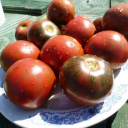 Помидоры - Russian Cossack - Русский Казак