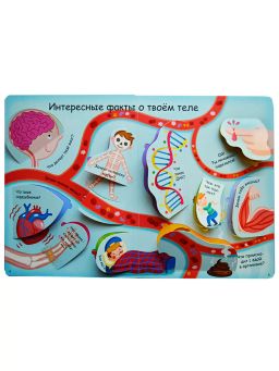 Волшебные окошки. Как все устроено? - Робинс фото 3