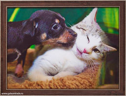 Картина 5D 30х40 059 Щенок и котёнок / ZR8210H-222411 / - Галеонтрейд фото 3