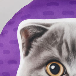 Подушка Британец - Mni mnu фото 2