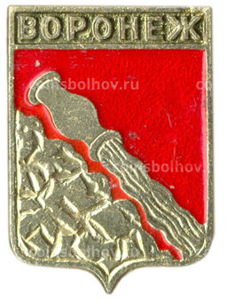 Значок Воронеж