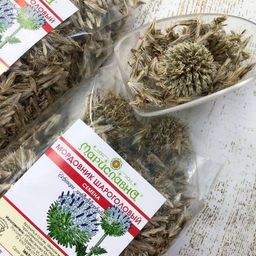 Мордовник шароголовый (семена)