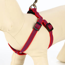 Комплект амуниции рельефный, поводок 120 х 1,5 см, ОГ 36-49 см, красно-синий - Пижон фото 3