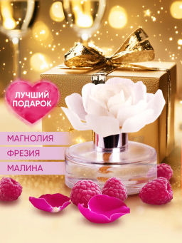 Breesal Декоративный ароматизатор Arome Fleur Мелодия чувств 60 мл