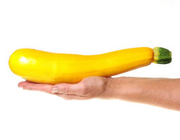 Кабачок Ясмин - Партнер фото 4