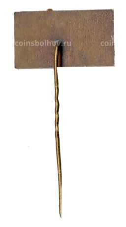 Значок Паланга