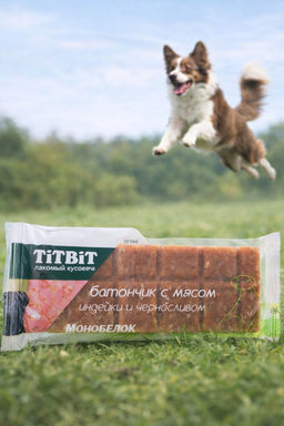 Титбит Батончик с мясом индейки и черносливом 40 г 1/30 4690538021293 - Titbit фото 2