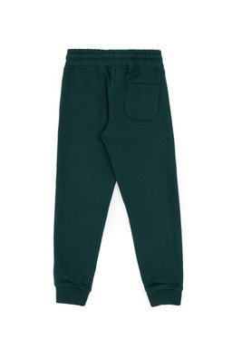 Темно-зеленые спортивные штаны для мальчика - U.s. polo assn фото 3