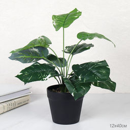 Цветочная композиция Сциндапсус 40 см / ZH-009 /уп 48/ - Галеонтрейд фото 5