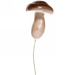 Цена за 6 шт. Фигура на спице "Гриб Маслёнок" 7*5см (общ.высота 12 см)