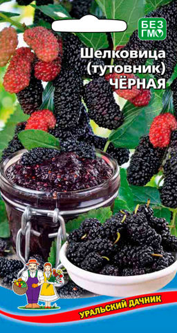 Шелковица ЧЕРНАЯ