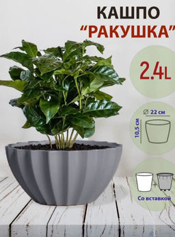 Кашпо для цветов с автополивом «Ракушка», 2.4 л, d=22 см, h=10.5 см, серое