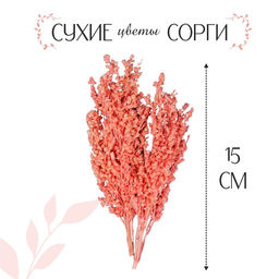 Сухие цветы сорги, 5 г, цвет розовый - Simaland фото 3