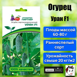 Огурец партенокарпический Уран