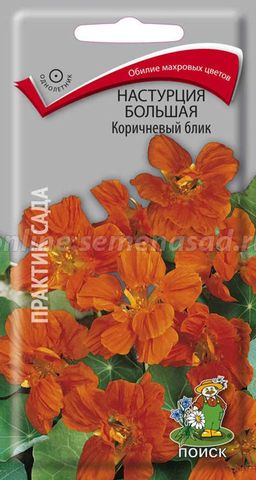 Настурция большая Коричневый блик (ЦВ) (1) 1гр.