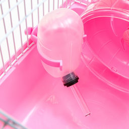 Клетка для грызунов Пижон, 23 х 17 х 17 см, розовая  фото 6