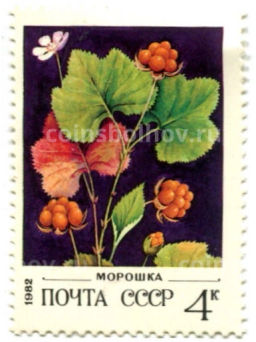 Марка Морошка 1982 год