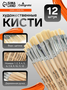 Кисти художественные для рисования, щетина, 12 штук: № 1, 2, 3, 4, 5, 6, 7, 8, 9, 10, 11, 12, плоские, деревянная ручка, международный размер