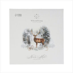 Салатник новогодний «Зимний лес», 20.2×3.6 см, 650 мл, фарфор, белый