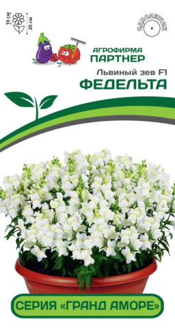 Львиный Зев низкорослый крупноцветковый Гранд Аморе Федельта - Партнер фото 2