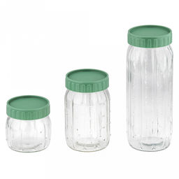 Банка для сыпучих продуктов стеклянная Кактус набор 3шт: 0,3л, h8,8с; 0,6мл, h14см; 1л, h22,6см, горло д7,5см, основание д8см, винтовая пластмассовая крышка зеленого цвета, в коробке (Китай)