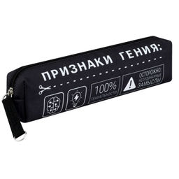 Пенал школьный Феникс+, арт.72015/ 30 ФРАЗЫ С ХАРАКТЕРОМ (без наполнения, 20х4х4.5 см, микрофибра на