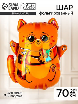 Цена за 3 шт. Воздушный шар фольгированный 28" «Котик-волшебник»