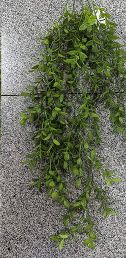 Зелень искусственная 84 см / C69-635 /уп 2/300/