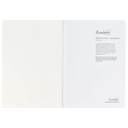 Записная книжка, А5+, арт. 52903/ 15 ШАГРЕНЬ ЗЕЛЁНЫЙ С АРОМАТОМ ЯБЛОКО - Феникс+ фото 9