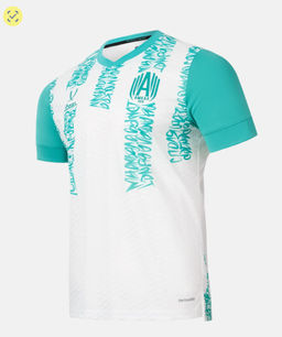 Футболка игровая Jogel AMKAL PerFormDRY Jersey, белый/бирюзовый