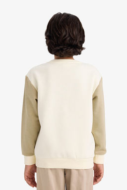 Bisiklet Yaka Bask_l_ __i Yumu_ak T_yl_ Sweatshirt Erkek _ocuk - Defacto фото 5