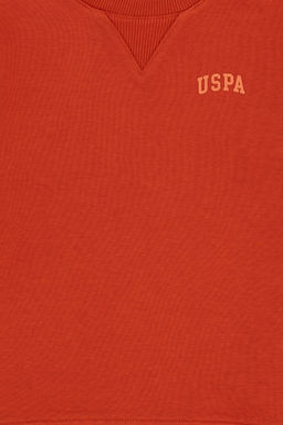 Базовый свитшот Tile для мальчиков Неожиданная скидка в корзине - U.s. polo assn фото 9