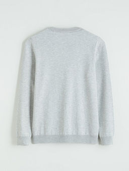 Bisiklet Yaka Erkek Triko Kazak