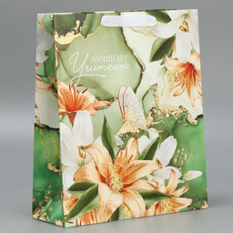 Цена за 2 шт. Пакет подарочный ламинированный, упаковка, «Лучшему учителю», M 30×26×9 см