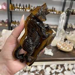 Тигр из Тигрово-Соколиного глаза