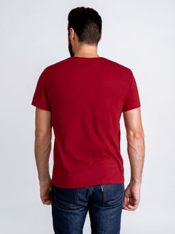 Футболка мужская короткий рукав GREG G145-RD-1056_R (красный)  фото 5