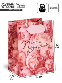 Цена за 3 шт. Пакет ламинированный «Подарок для тебя», 9×12×6.5 см
