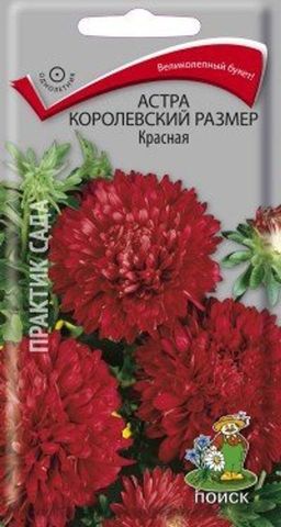 Астра (однолетняя) королевский размер Красная (ЦВ) (1) 0,1гр.