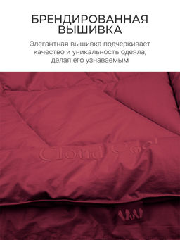 Одеяло "Cloud Cool Wine" 175х200см всесезонное 200г/м2 ЕС-7067