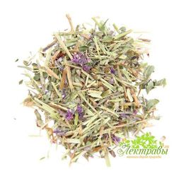 2 шт. Дербенник (плакун-трава)