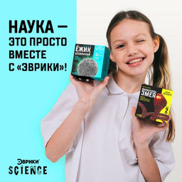 Набор для опытов Ёжик оловянный - Эврики фото 4