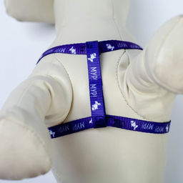 Комплект Мур! Мур!, шлейка 24-34х1 см, поводок 120 см - Пушистое счастье фото 7